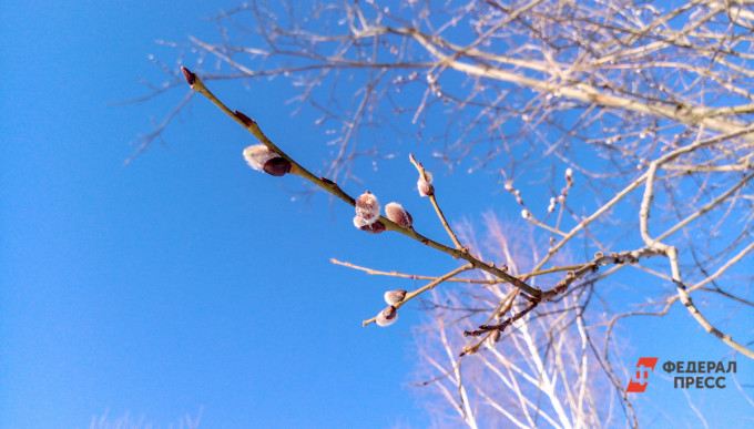 В Екатеринбурге потеплеет до +18 градусов