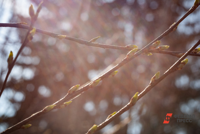 В Челябинской области объявили штормовое предупреждение из-за аномальной жары