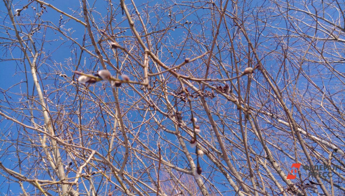 В Кургане побит новый температурный рекорд