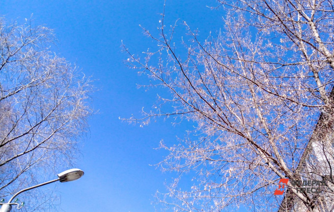 На Курган надвигается рекордное потепление до +20 градусов