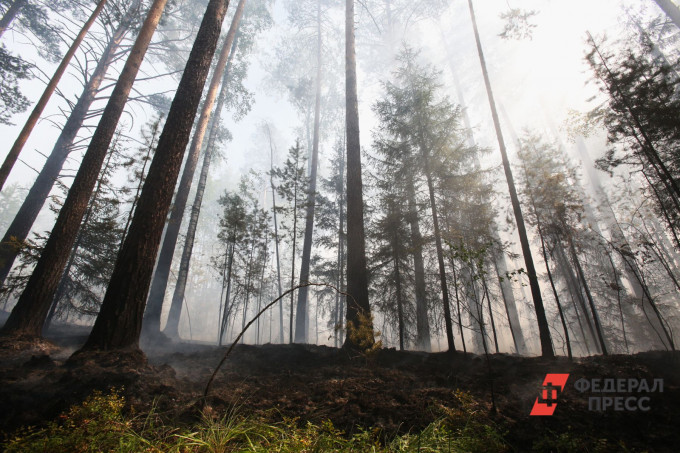В Свердловской области стартует особый противопожарный режим