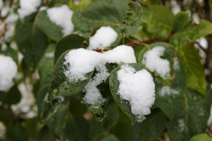 На Свердловскую область надвигается похолодание и снег