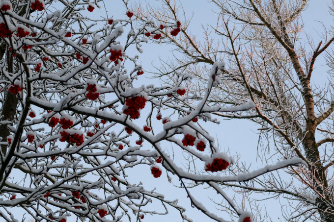 Синоптик Пулин предупредил о надвигающемся на Свердловскую область снеге