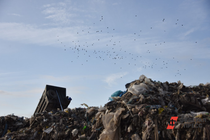 Челябинская область стала лидером УрФО по количеству нелегальных свалок