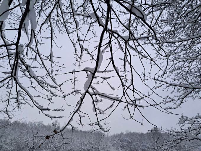 На Екатеринбург надвигается снегопад