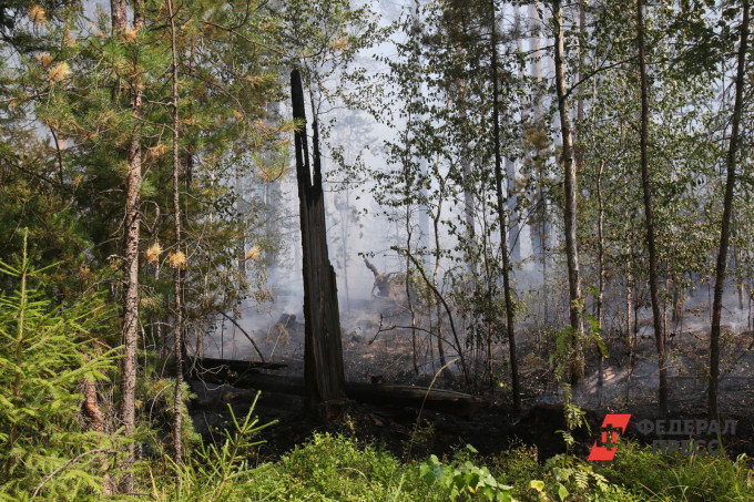 В Челябинской области объявили штормовое предупреждение из-за пожарной опасности