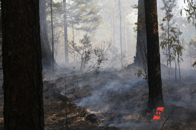 В одном из округов Челябинской области ввели особый противопожарный режим