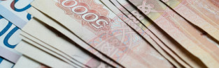 Профессор МГУ предложил платить зарплату многодетным мамам за счет олигархов