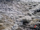 Глава Тюмени проинспектировал проблемные точки города после отступления паводка