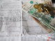 В Свердловской области расходы семьи на ЖКУ превышают 6 тысяч рублей