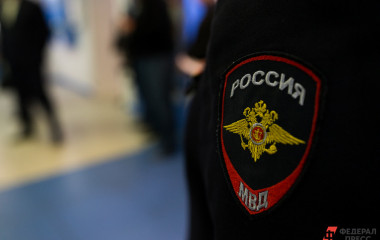 В Свердловской области за один день задержали шестерых кандидатов партии «Яблоко»
