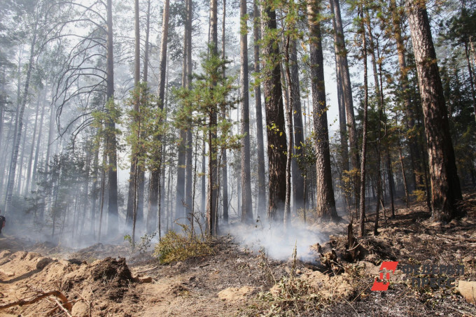 Пожароопасный сезон отменили в Тюменской области