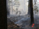 Риск возгорания в лесу резко вырос на Южном Урале