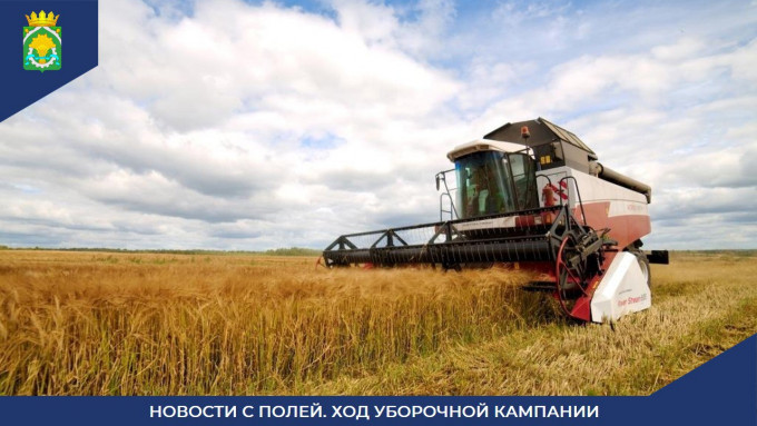 Шатровский округ: новости с полей