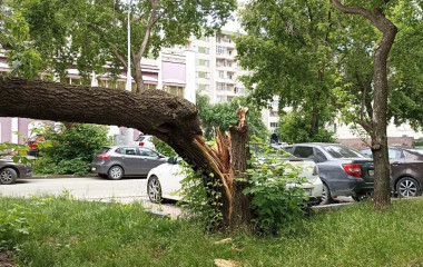 Шквалистый ветер прошелся по Кургану после беспилотной опасности