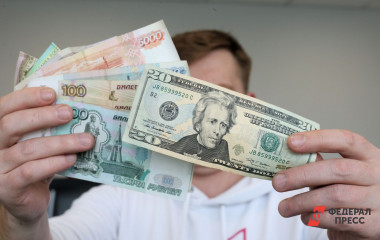 От 19 миллионов до 248 тысяч: кто из кандидатов от Зауралья в Госдуму самый богатый