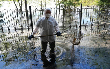 Мэр Тюмени рассказал о ликвидации последствий паводка